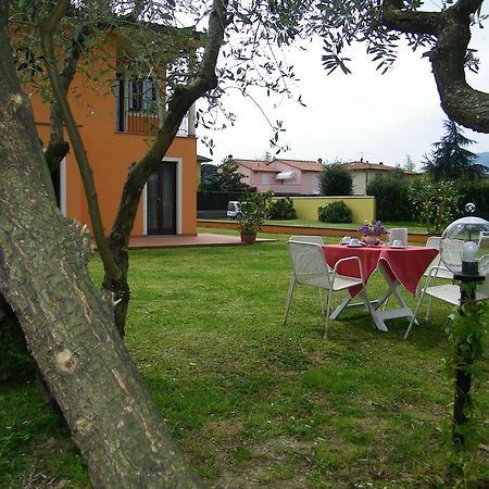 Triolivo B&B Lucca Exterior photo